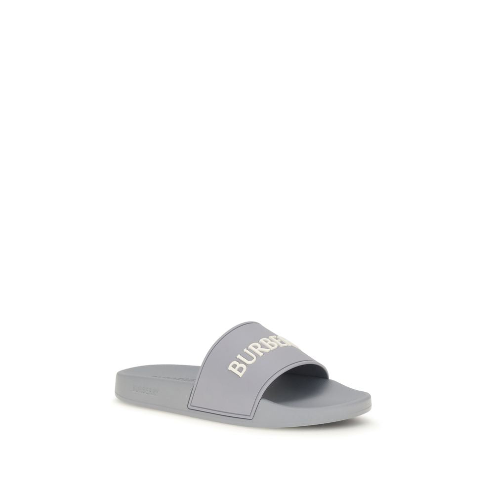Gray Rubber Slides