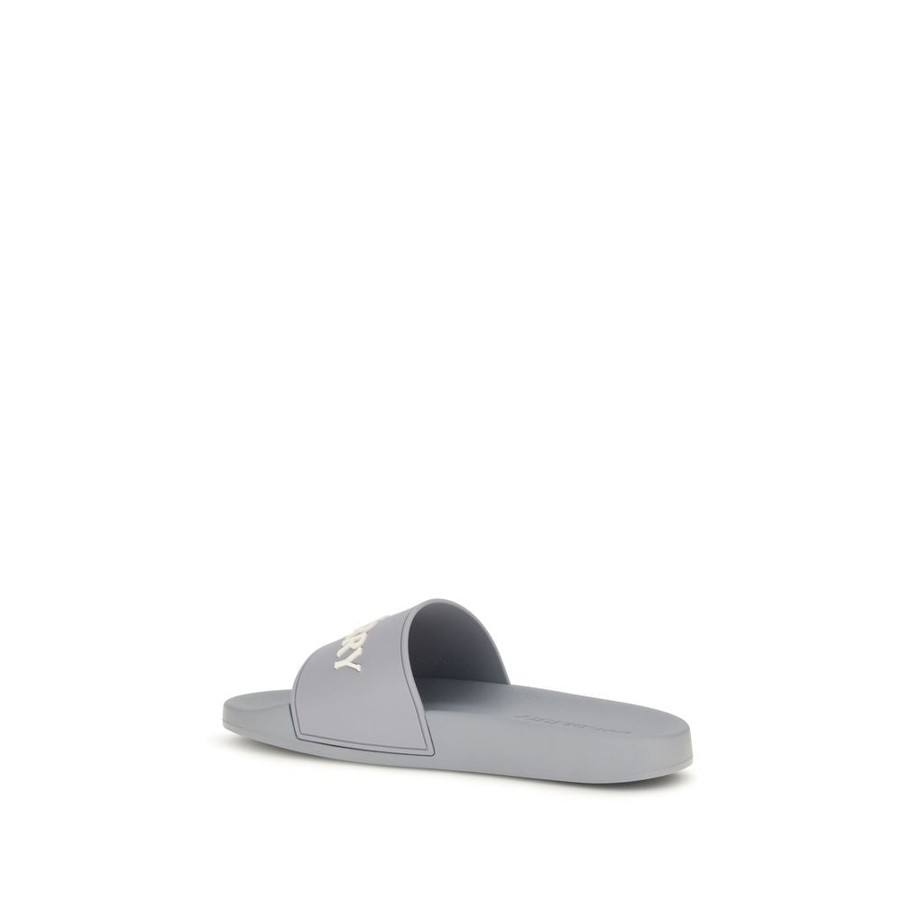 Gray Rubber Slides